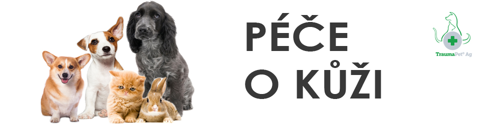 užší banner_kůže